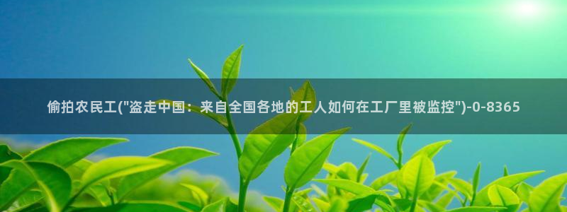 图片区小说区偷拍区